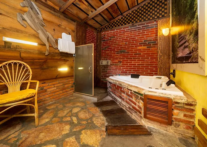 Casa Anzures Hotel 4*