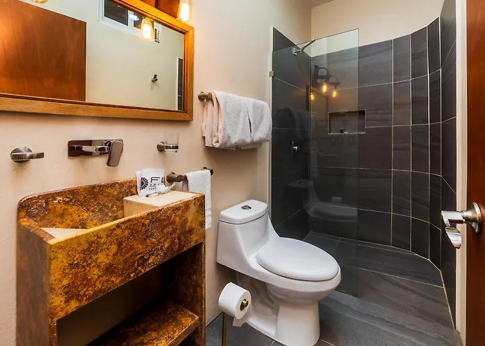 Casa Anzures Hotel 4*